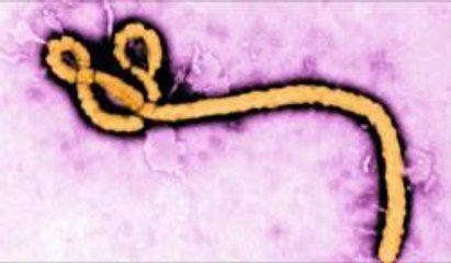 Condado Volusia en alerta por virus del Nilo
