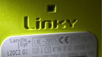 Linky : le gouvernement assure que les consommateurs "ne paieront pas plus"