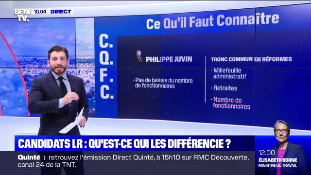 Quelles propositions différencient les candidats à l'investiture LR ?