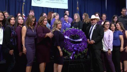 Violencia Domestica denuncia Texas