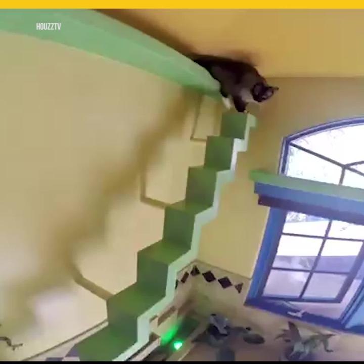Espacio en casa para mascotas