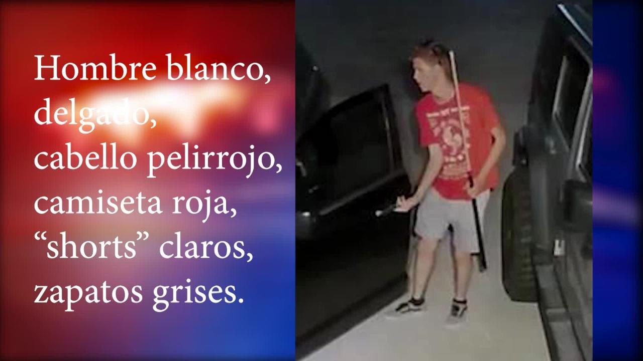 Español PSA