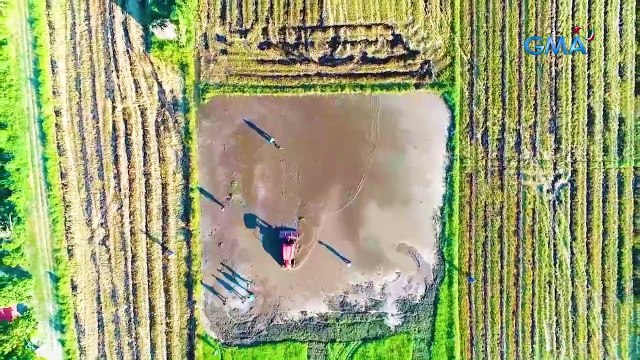 Born to be Wild: Farmers in Pampanga shows Doc Nielsen their unusual way of dealing with pests