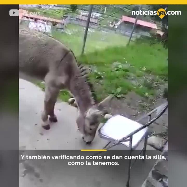 broma a venezuela bomberos