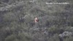 Single-engine plane crashes into hillside of Mount Diablo overnight - Story  KTVU - httpwww.ktvu.comnewsmt-diablo-small-plane-crashed-overnight-crews-responding (1)