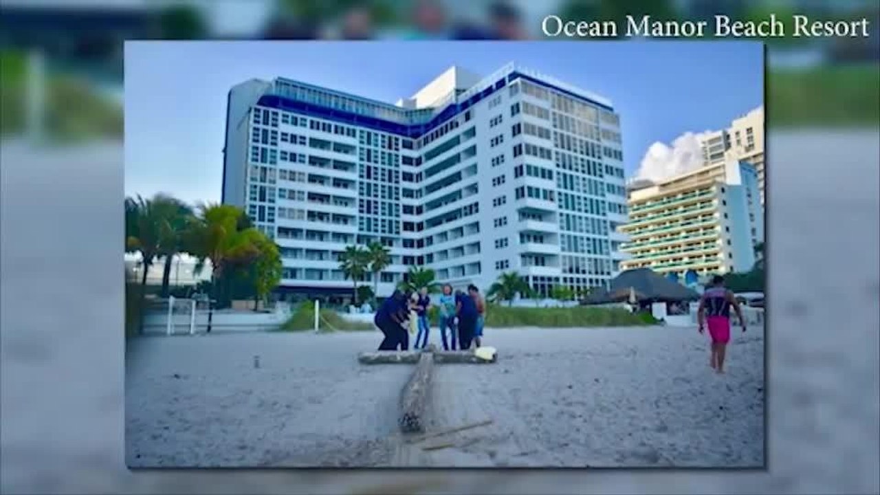 //Noticias Orlando 6pm 020819 - Clip