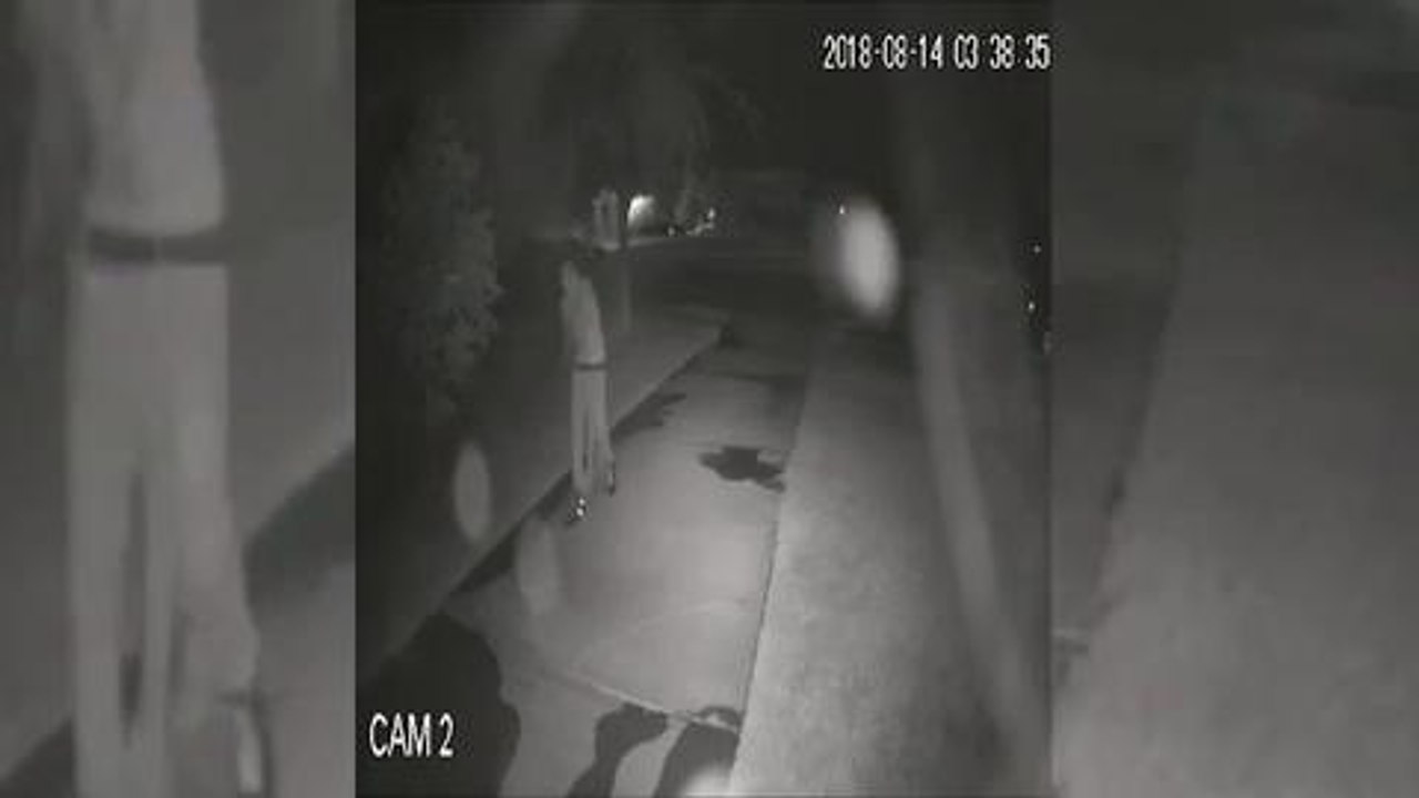 THEFT