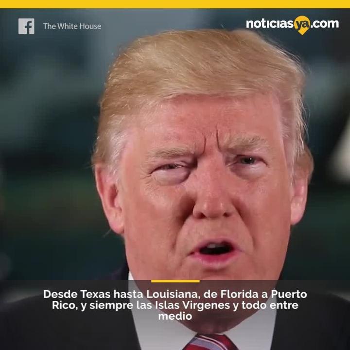 Trump Irma