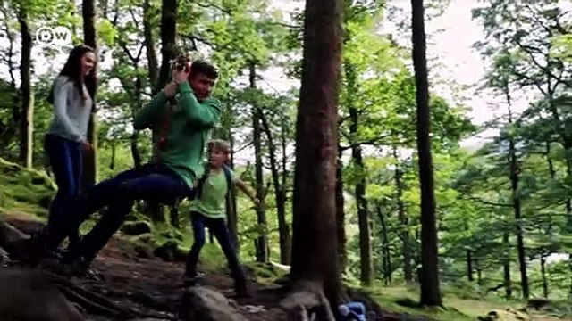 ¿Por qué dejamos de crecer los adultos?