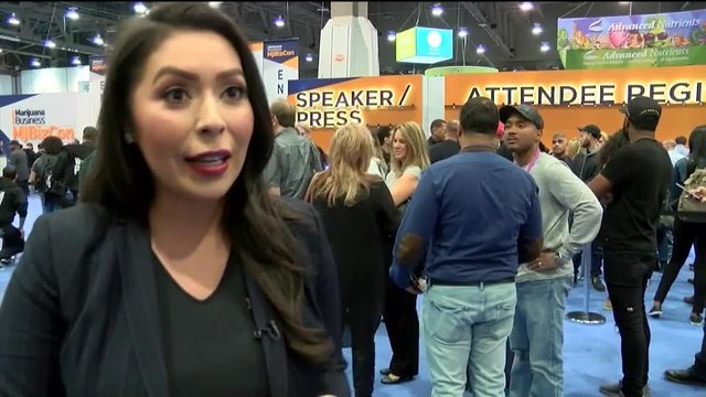 Noticias Nevada CONFERENCIA DE LA MARIHUANA 6pm 111418 - Clip