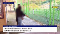 목줄 풀린 대형견에 다리 물려…“발목뼈가 다 보였다”