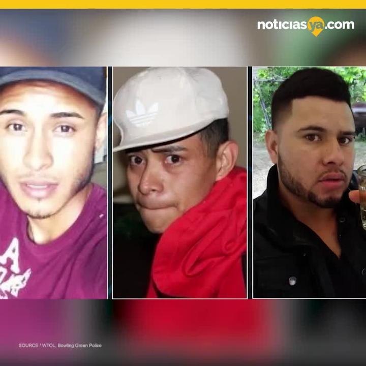 Violadores