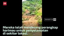 Kemunculan Harimau Sumatera di Perkebunan Sawit Aceh Selatan