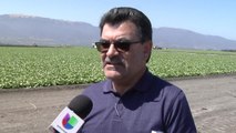 FARMWORKERS WIN CAL.