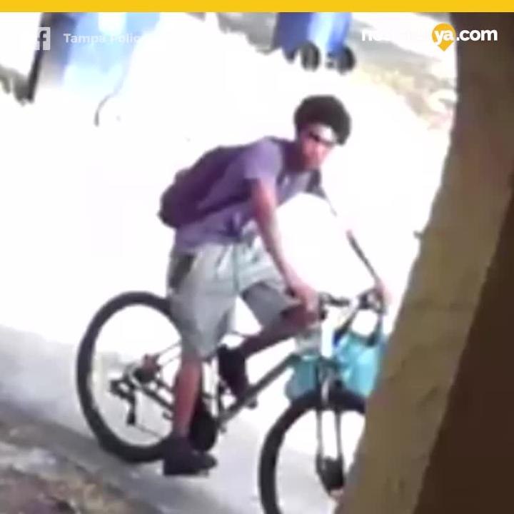 Ladrón adolescente en Tampa