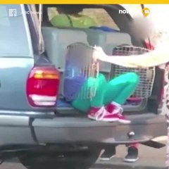 Arrestan a abuela por llevar a sus nietos en jaula para perros
