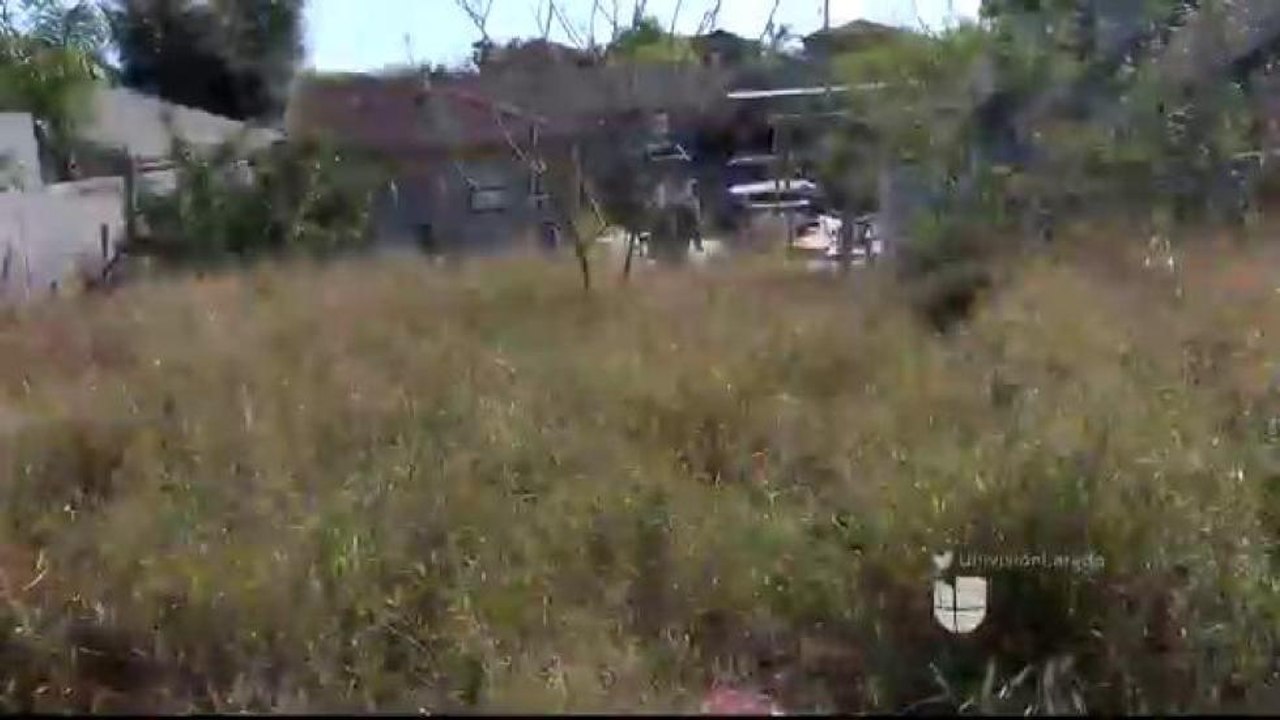 Vecinos se Quejan por Presencia de Animales