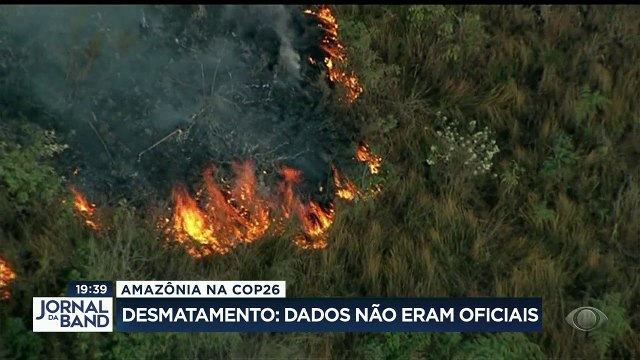 Dados sobre desmatamento na Amazônia divulgados durante a conferência do clima da ONU não são oficiais - e podem estar distorcidos.