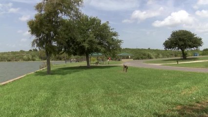 Abriran compuertas por niveles de agua