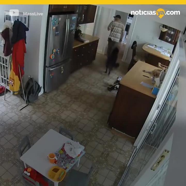 Ladron que no dejó que el perro saliera