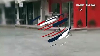 Artvin'de fare ile oynayan köpeğin neşesi kamerada