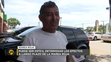 Marea roja afecta agresivamente a costas de Florida