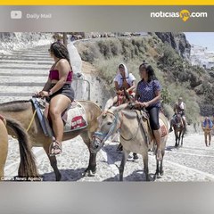 Burros de Santorini 🐴