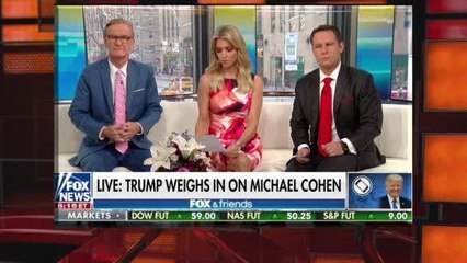 WM16x9N_PO-42TH_TRUMP_COHEN REPRESENTED ME ON _CRAZY STORMY DANI_CNNA-ST1-10000000048c0a93_201_0W.wmv