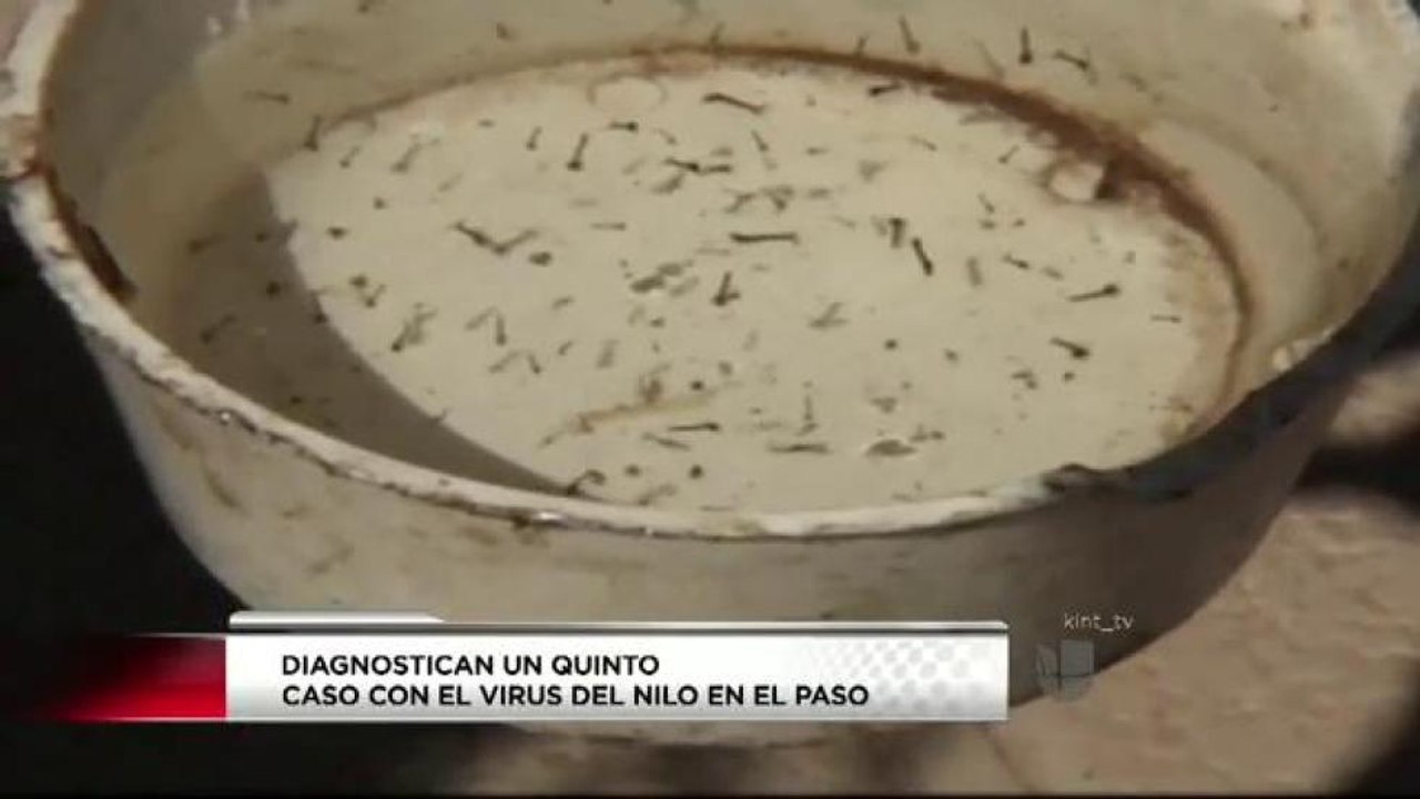 Virus del Nilo