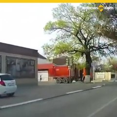 Un camin pasa sobre ella y se levanta como si nada