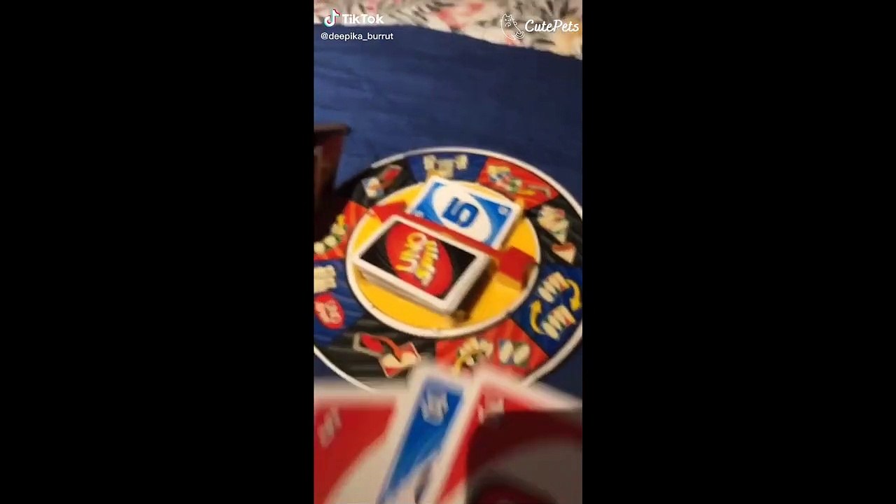 What da dog doin- TikTok Trend Cute Animals - Cutest Animals On TikTok #23