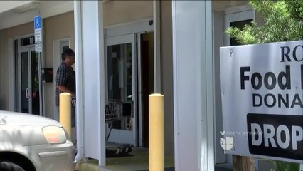 Adolescentes de Tampa eligen voluntariado durante vacaciones