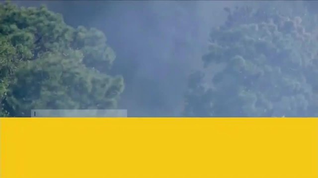 Podrían empeorar los incendios forestales durante el 2018