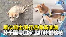 暖心騎士旅行遇癱瘓浪浪 他騎萬里帶回家還訂特製輪椅