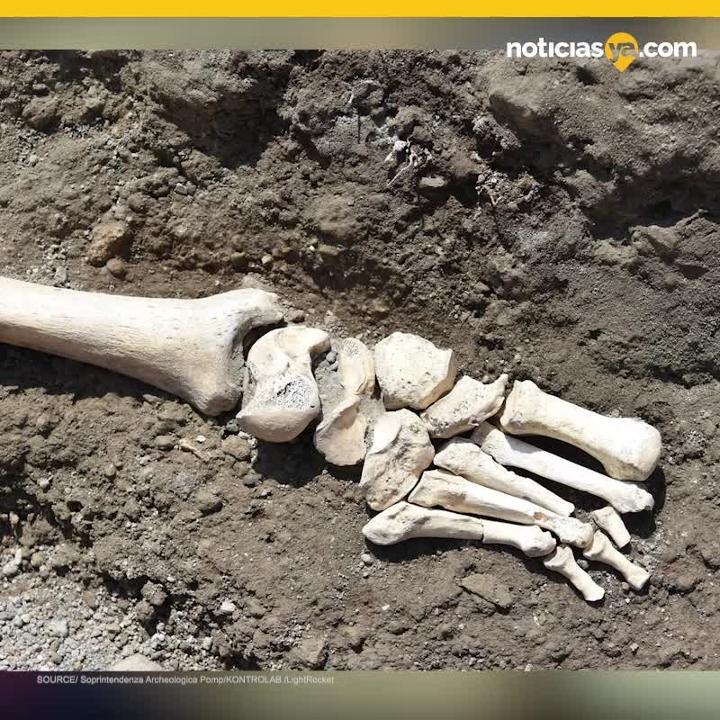 Muere aplastado hace siglos en Pompeya
