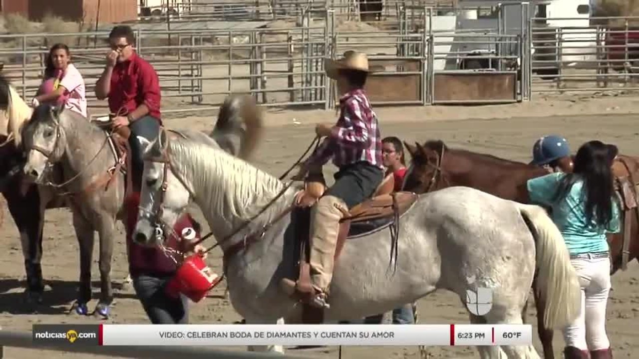Los nuevos vaqueros: 2nda parte