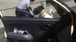 Taxista sorprende a pasajera y se hace viral tras alimentar a perros
