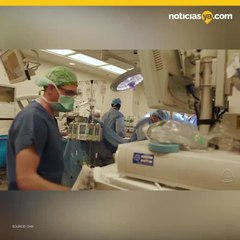 Trasplante genitales