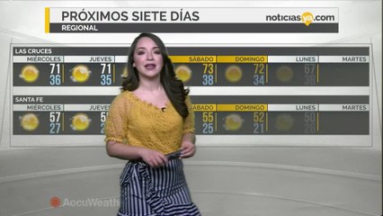 NM 01-31 WEATHER BREVE