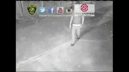 Un hombre arrestado por exposición indecente en la bahía de Corpus Christi