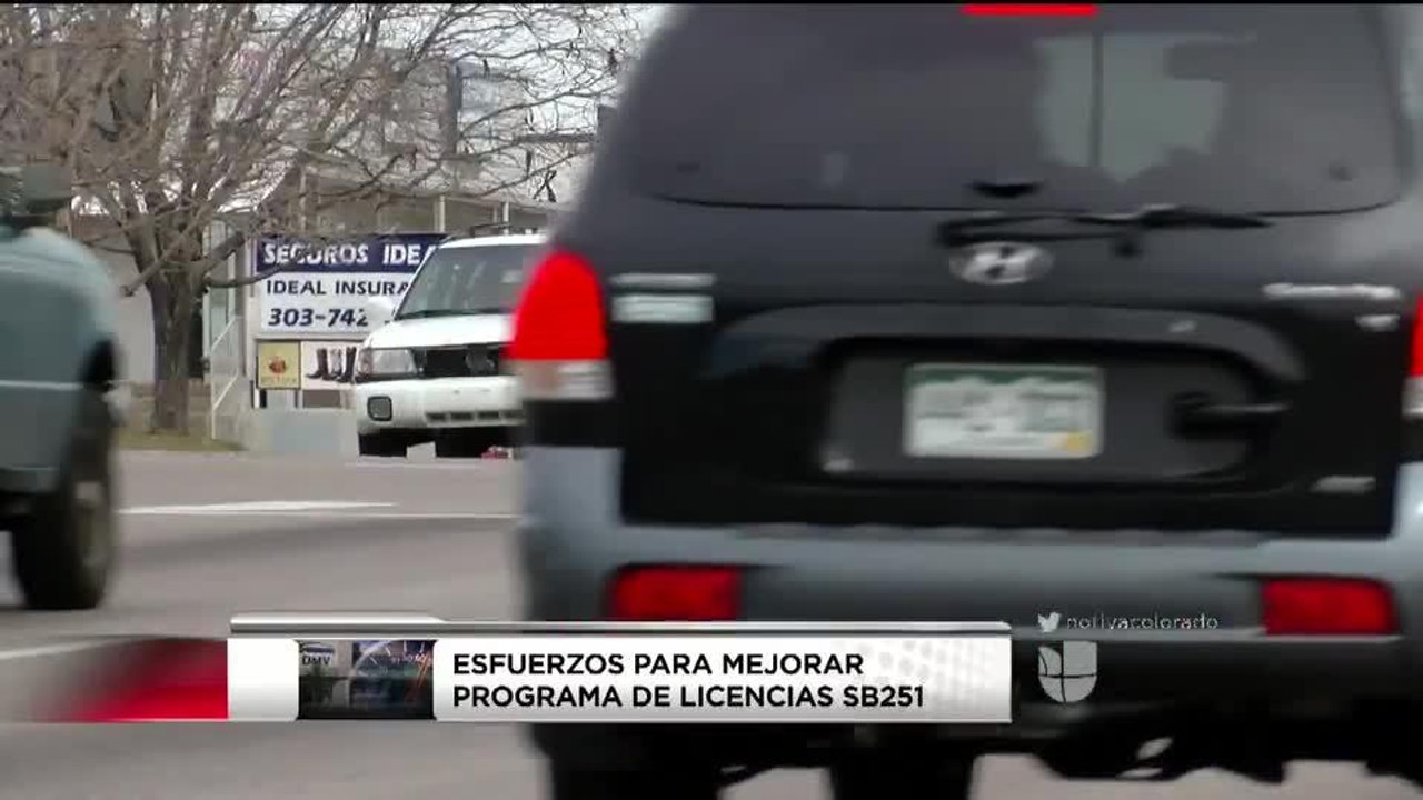 Priscilla PKG CITAS LICENCIAS