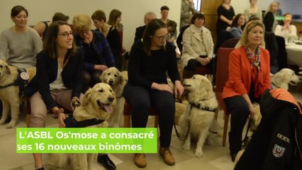 L'ASBL Os'mose a consacré ses 16 nouveaux binômes