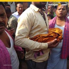 Monos robaron a bebé y es encontrado muerto días después