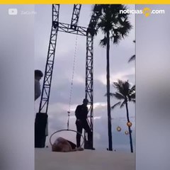 Acrobata en problemas