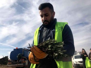 Elazığ'da İpek Yolu Gençlik Merkezi gönüllülerinden lavanta parkı