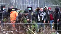 فيديو: بولندا تحتجز  مهاجرين عالقين على حدودها مع بيلاروس