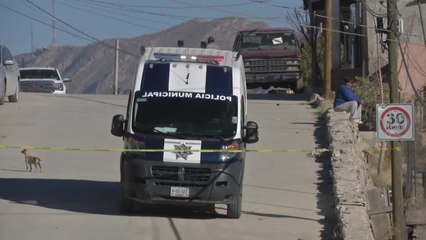 JZ NARCO COLGADO PKG 29DIC2017