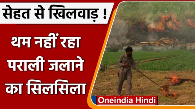 Delhi air pollution: दिल्ली में प्रदूषण संकट, Punjab में जारी पराली जलाने का सिलसिला |वनइंडिया हिंदी