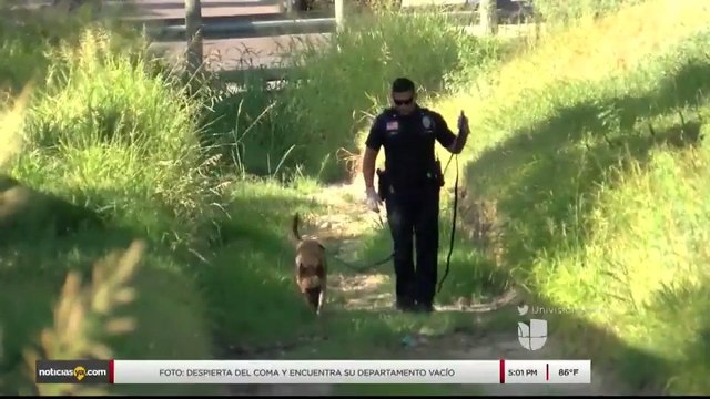 Noticias Laredo 5pm 120417 - Clip - homicidio