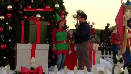 Noticias Laredo 5pm 112917 - Homero Tijerina Jr EN VIVO desde el LEA